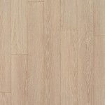 Crete_Oak